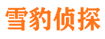 新平市私家侦探